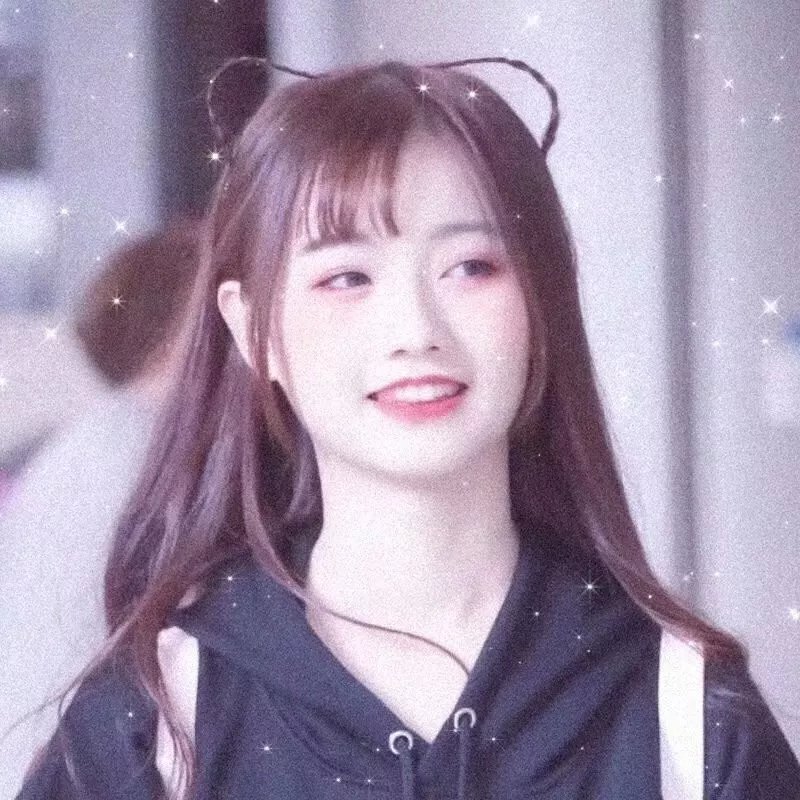 派特森与芬达猫4